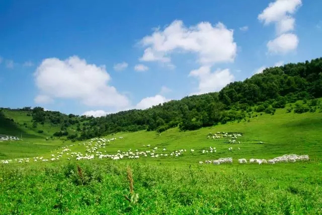 首页-MG视讯厅真人官方网站