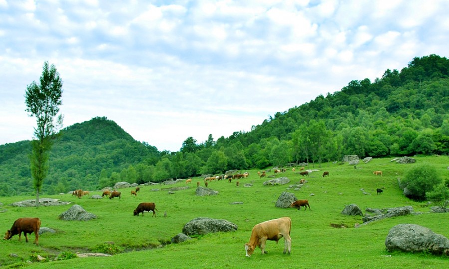 首页-MG视讯厅真人官方网站
