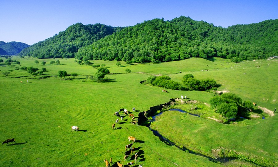 首页-MG视讯厅真人官方网站