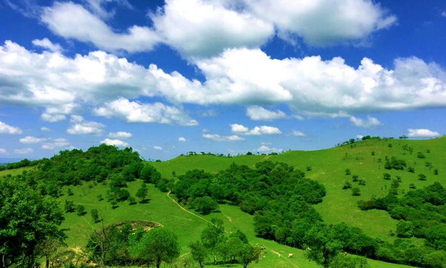 首页-MG视讯厅真人官方网站