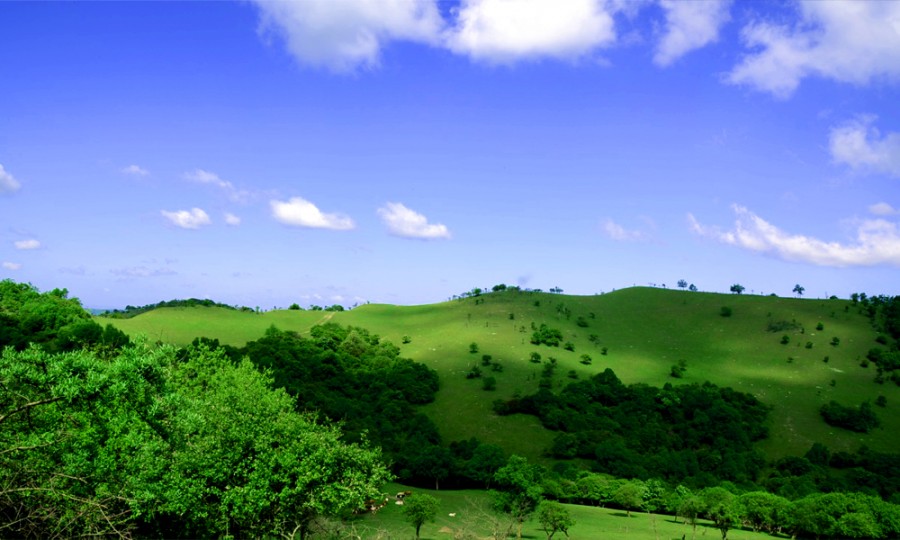 首页-MG视讯厅真人官方网站