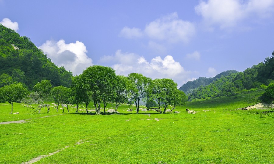 首页-MG视讯厅真人官方网站