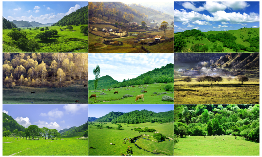 首页-MG视讯厅真人官方网站