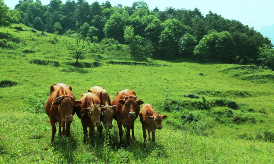 首页-MG视讯厅真人官方网站