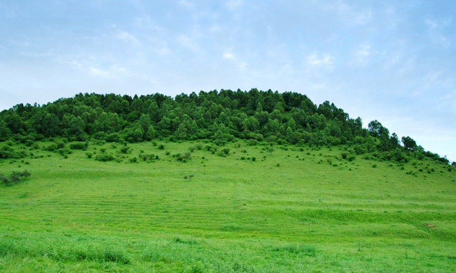 首页-MG视讯厅真人官方网站