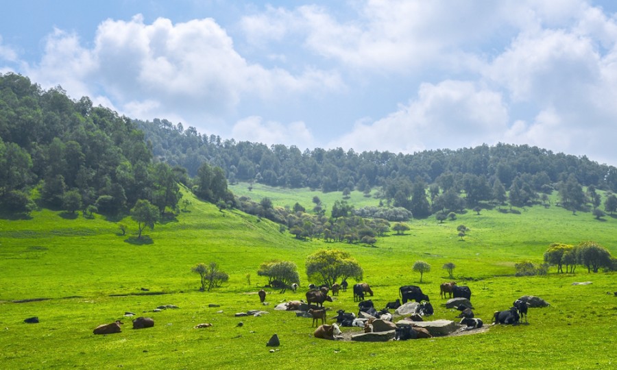 首页-MG视讯厅真人官方网站
