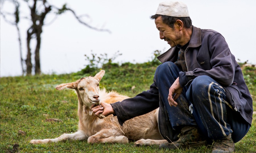 首页-MG视讯厅真人官方网站
