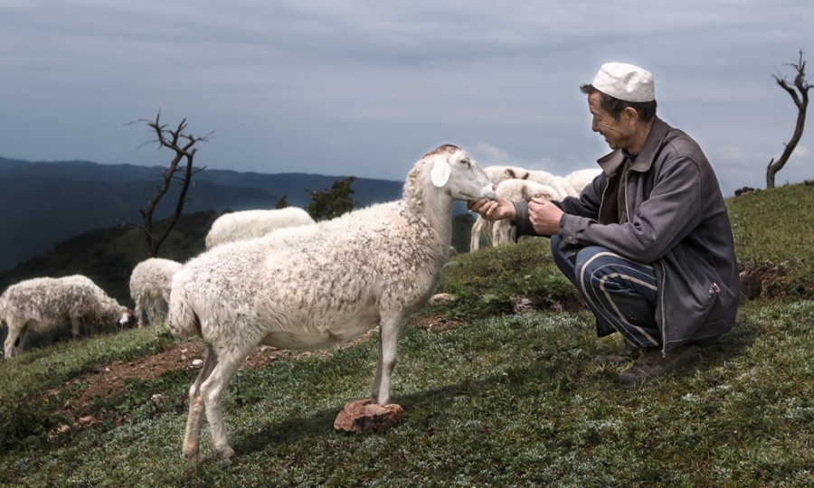 首页-MG视讯厅真人官方网站