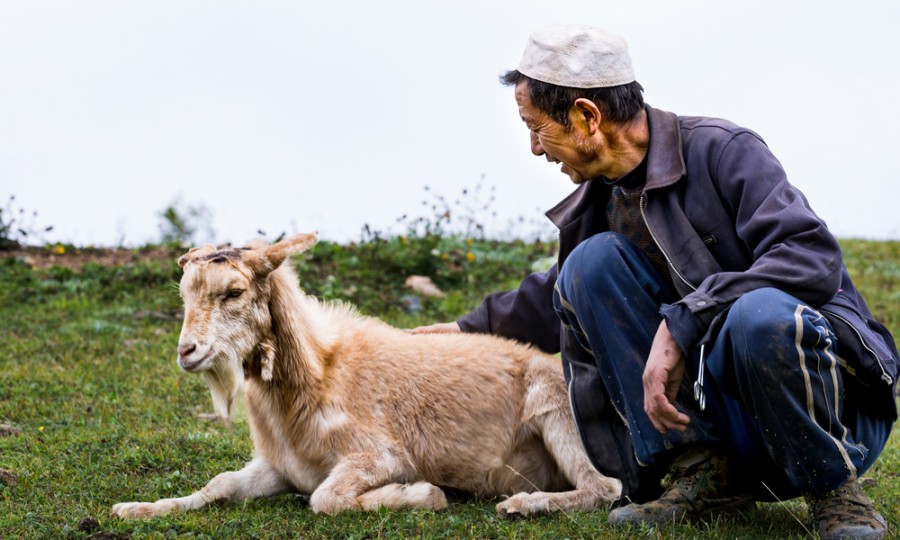首页-MG视讯厅真人官方网站