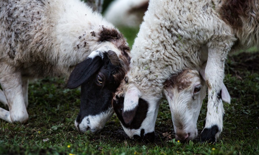 首页-MG视讯厅真人官方网站