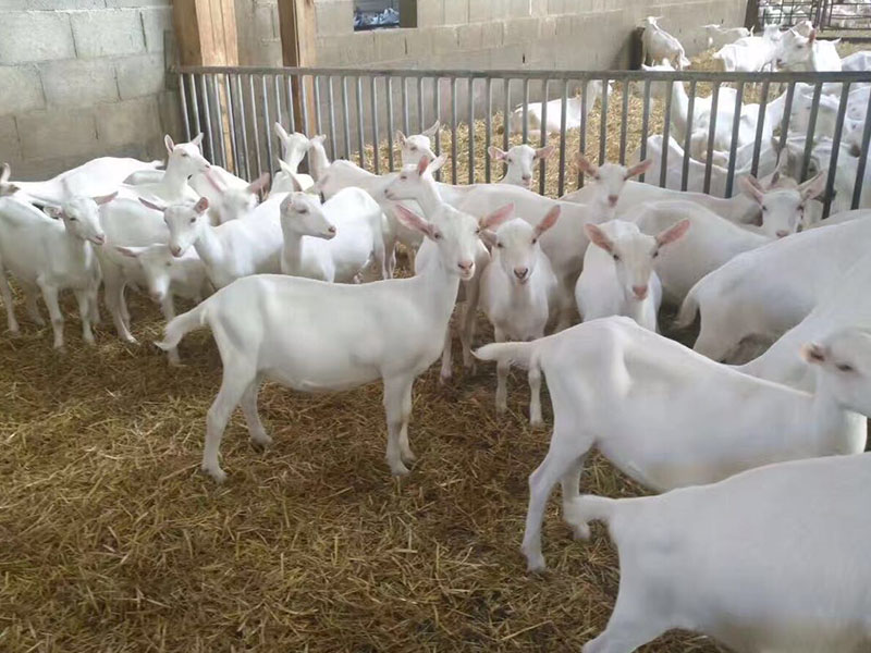 首页-MG视讯厅真人官方网站