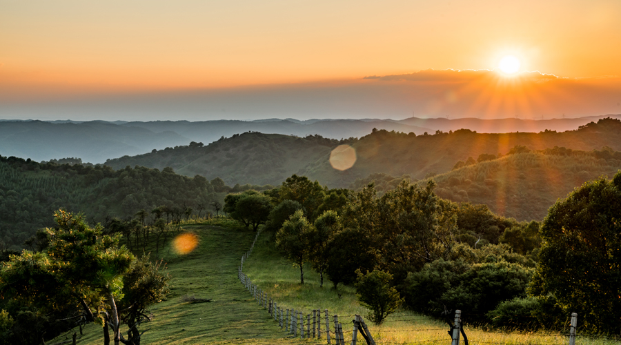 首页-MG视讯厅真人官方网站