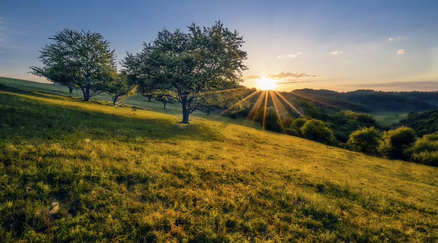 首页-MG视讯厅真人官方网站