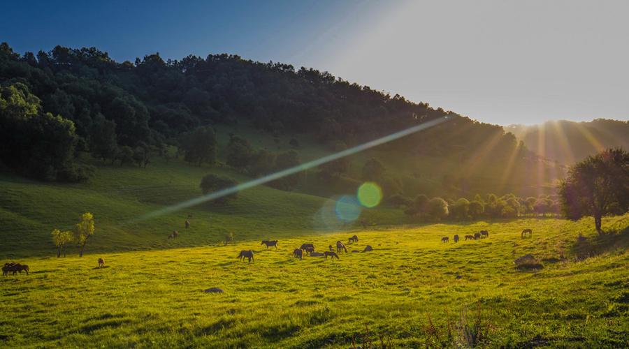 首页-MG视讯厅真人官方网站