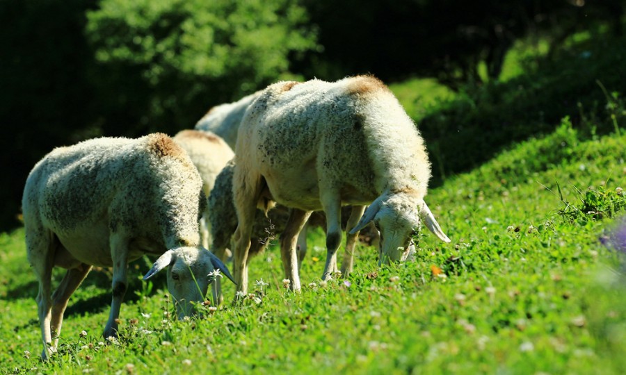 首页-MG视讯厅真人官方网站