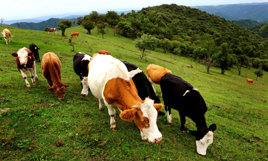 首页-MG视讯厅真人官方网站
