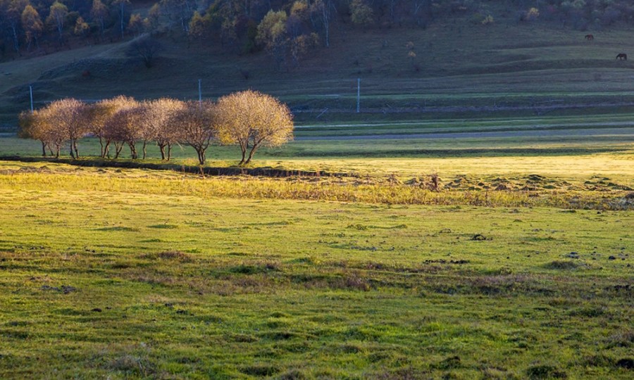 首页-MG视讯厅真人官方网站
