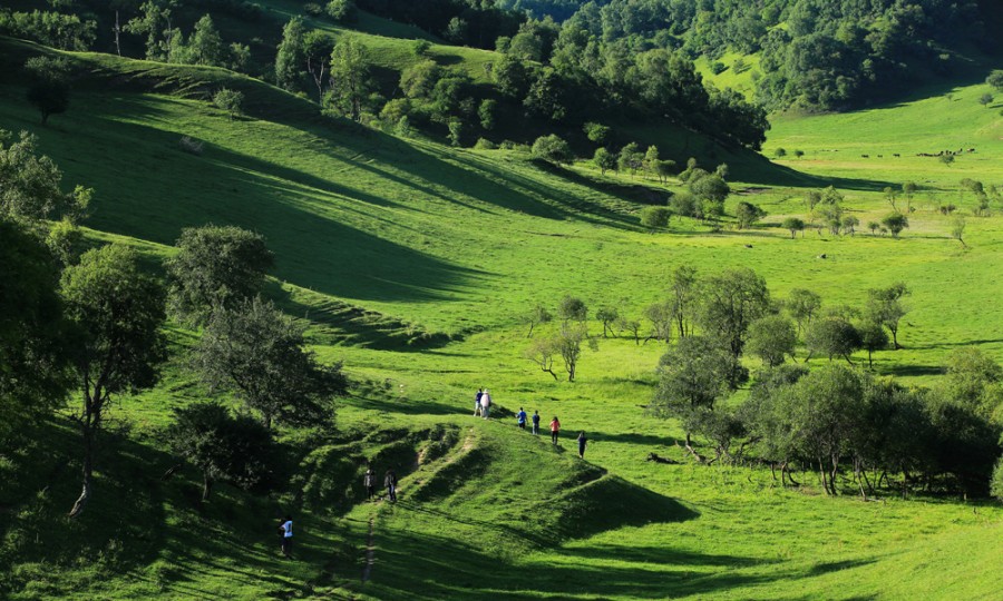 首页-MG视讯厅真人官方网站