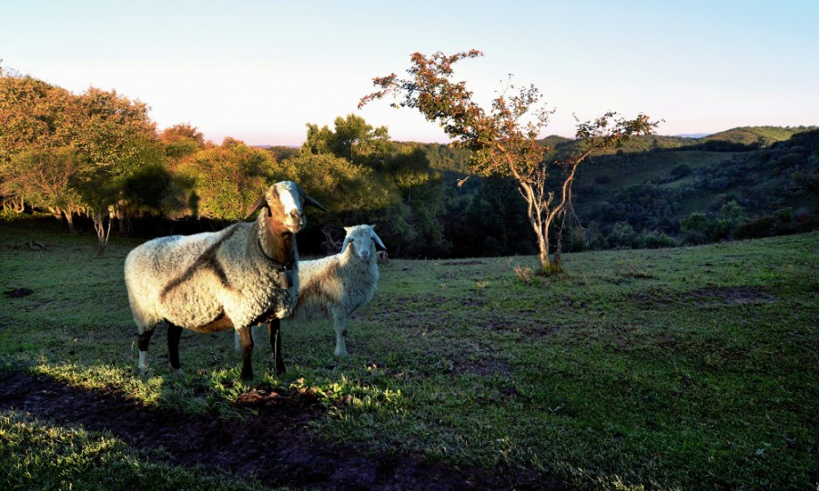 首页-MG视讯厅真人官方网站