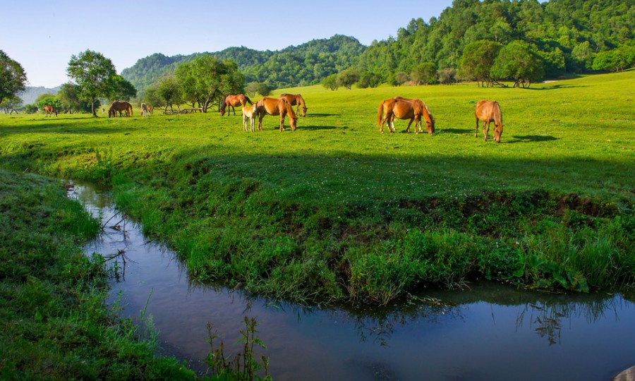 首页-MG视讯厅真人官方网站