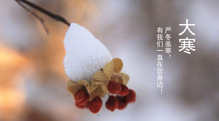 首页-MG视讯厅真人官方网站