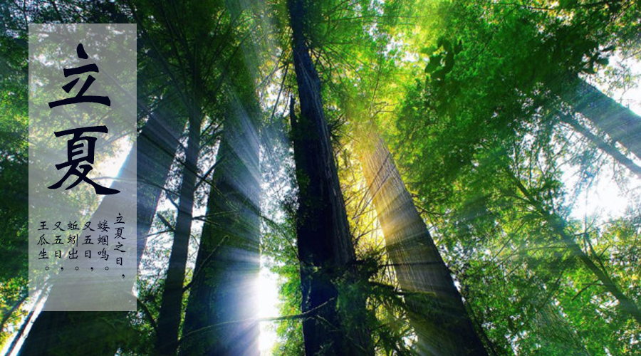 首页-MG视讯厅真人官方网站