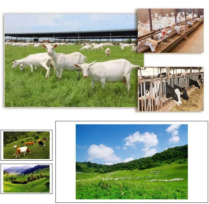 首页-MG视讯厅真人官方网站