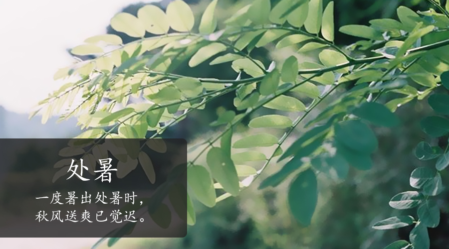 首页-MG视讯厅真人官方网站