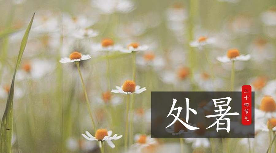 首页-MG视讯厅真人官方网站