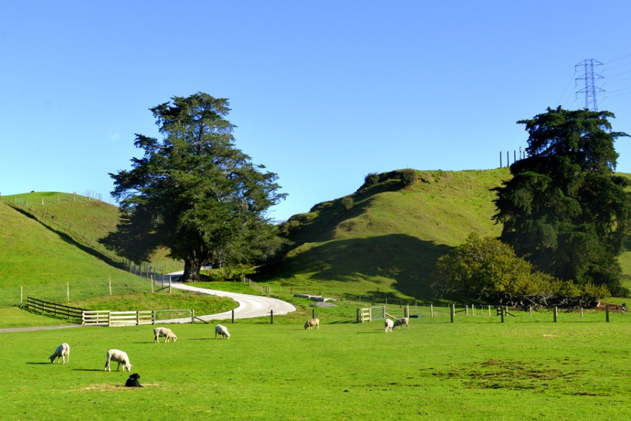 首页-MG视讯厅真人官方网站