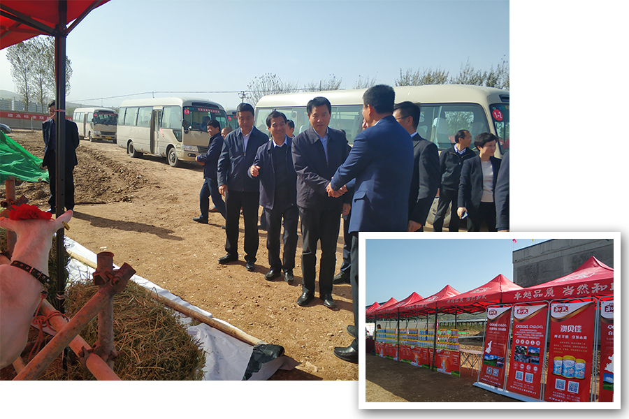 首页-MG视讯厅真人官方网站