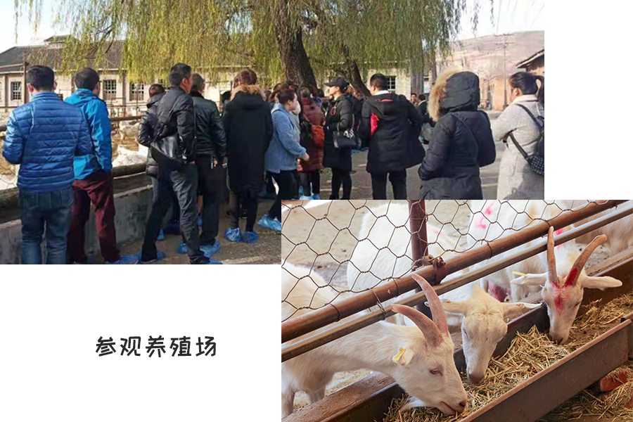 首页-MG视讯厅真人官方网站