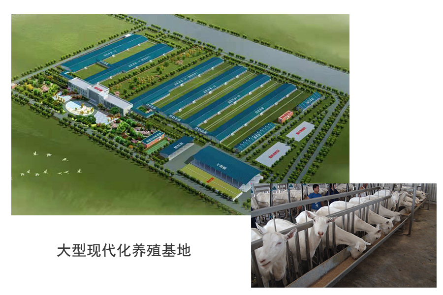 首页-MG视讯厅真人官方网站