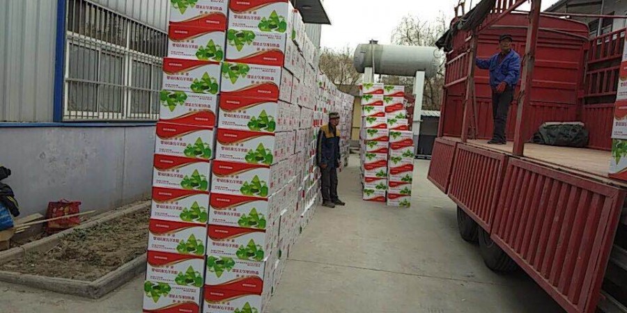 首页-MG视讯厅真人官方网站