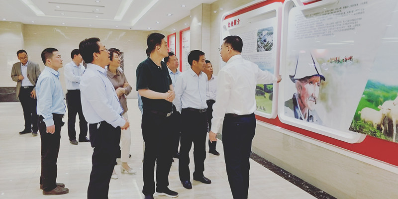 首页-MG视讯厅真人官方网站