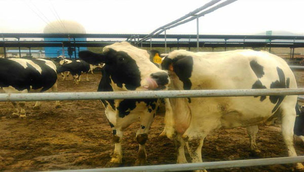 首页-MG视讯厅真人官方网站