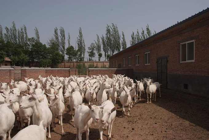 首页-MG视讯厅真人官方网站