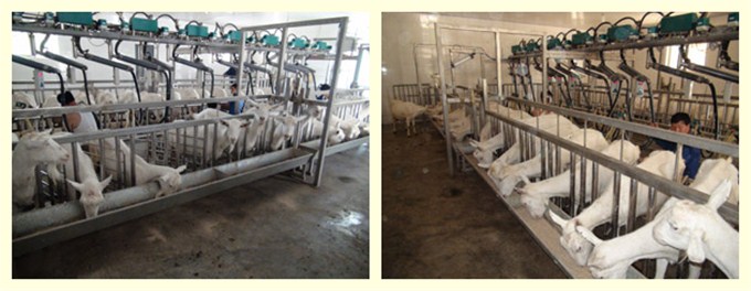 首页-MG视讯厅真人官方网站