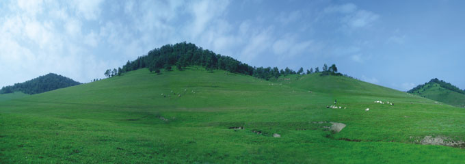 首页-MG视讯厅真人官方网站