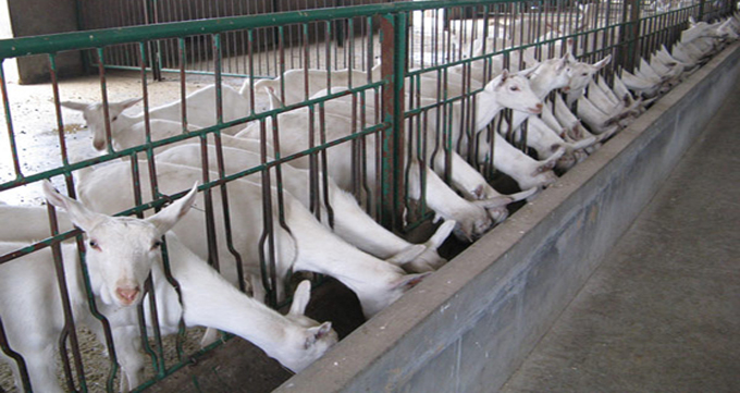 首页-MG视讯厅真人官方网站