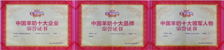 首页-MG视讯厅真人官方网站