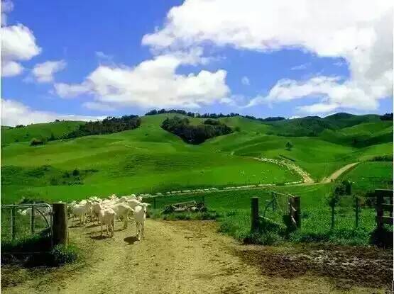 首页-MG视讯厅真人官方网站