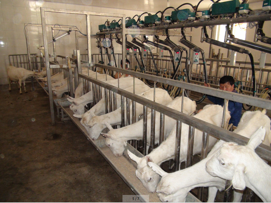 首页-MG视讯厅真人官方网站