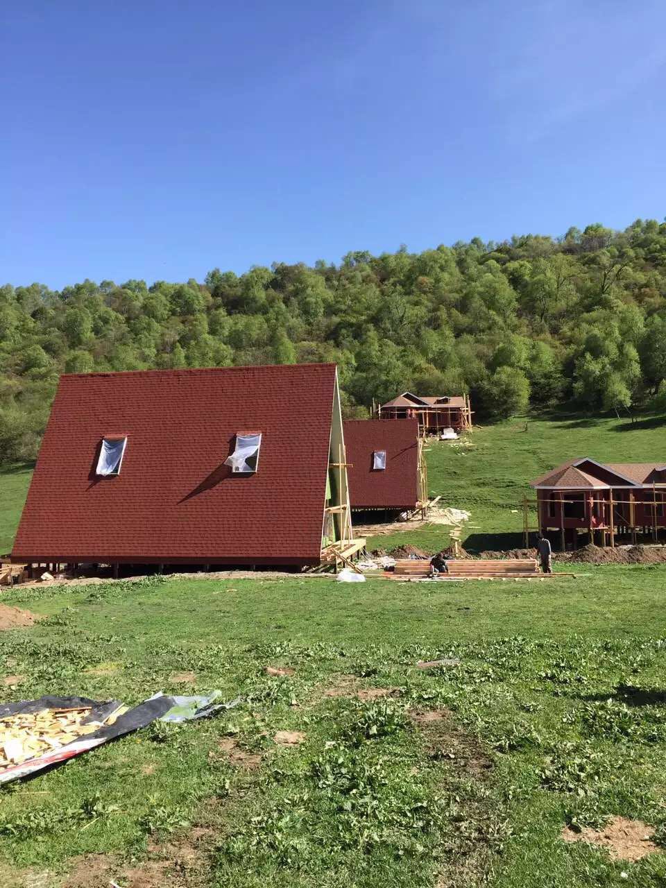 首页-MG视讯厅真人官方网站