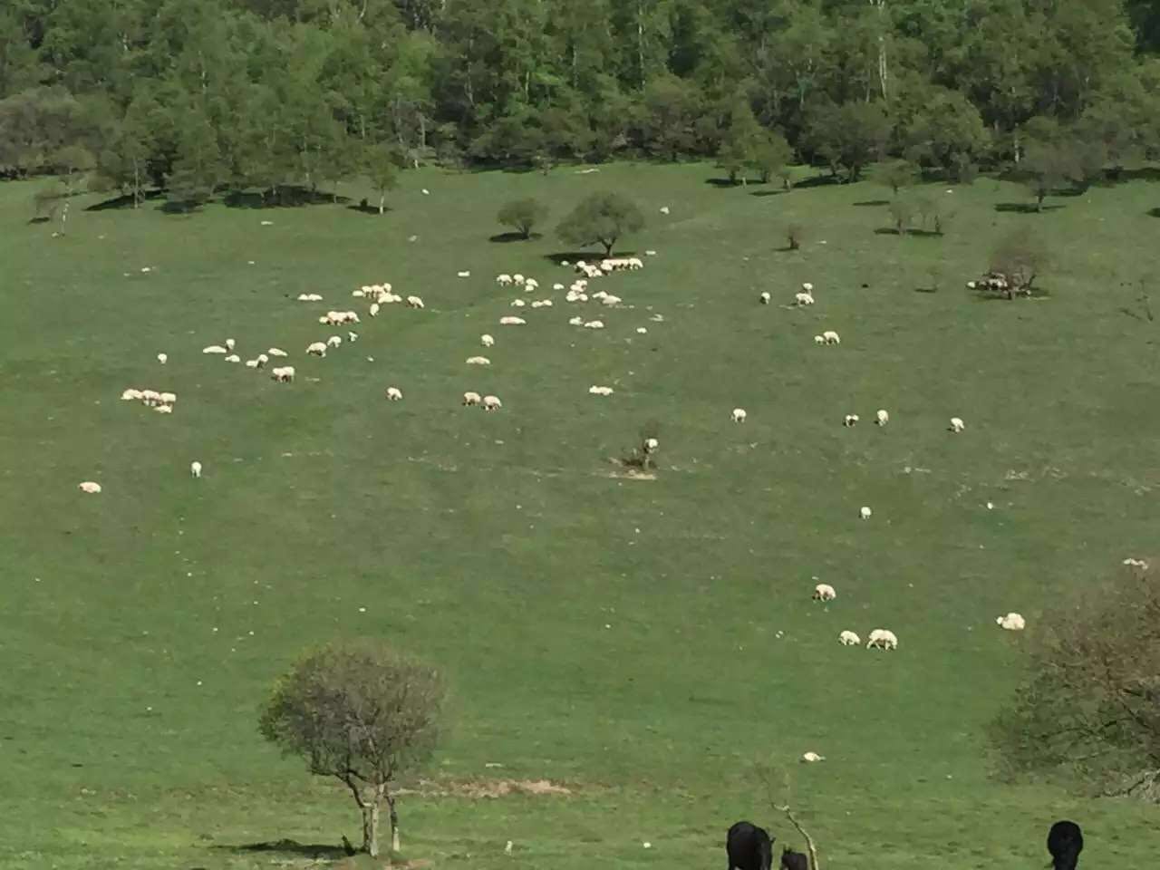 首页-MG视讯厅真人官方网站