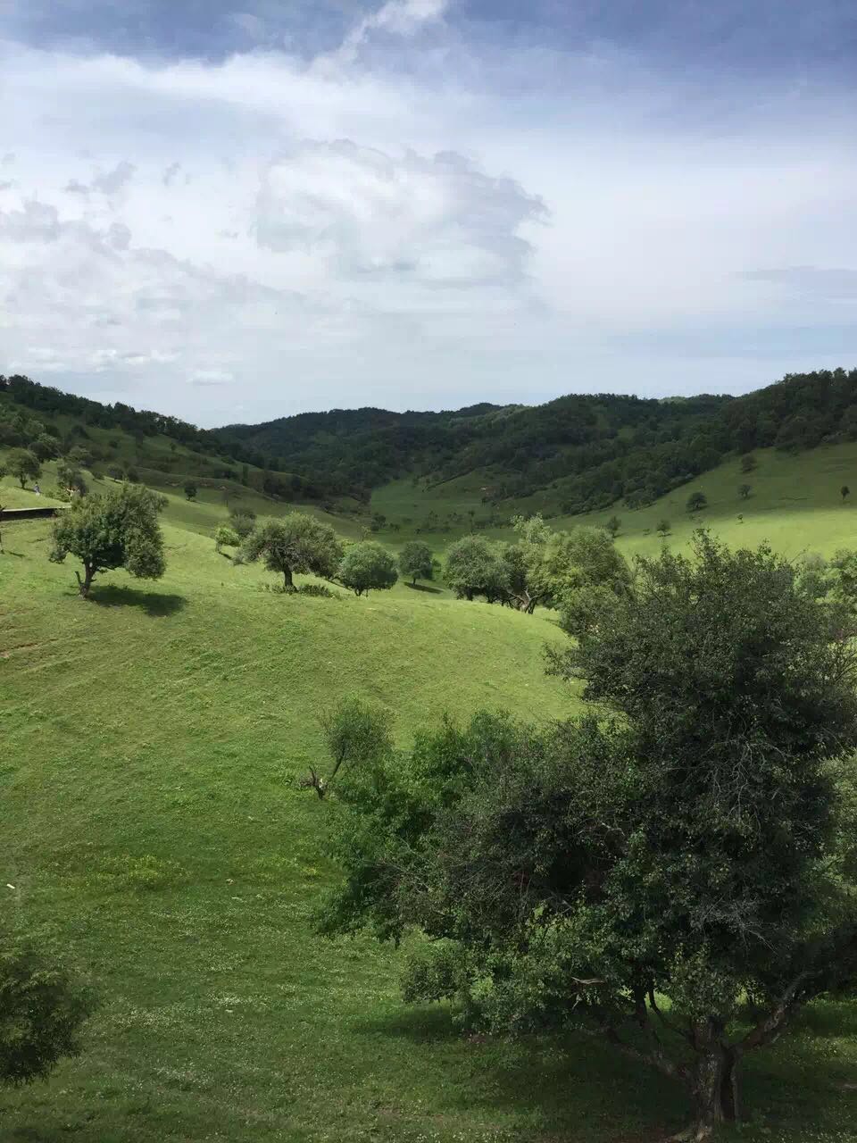 首页-MG视讯厅真人官方网站