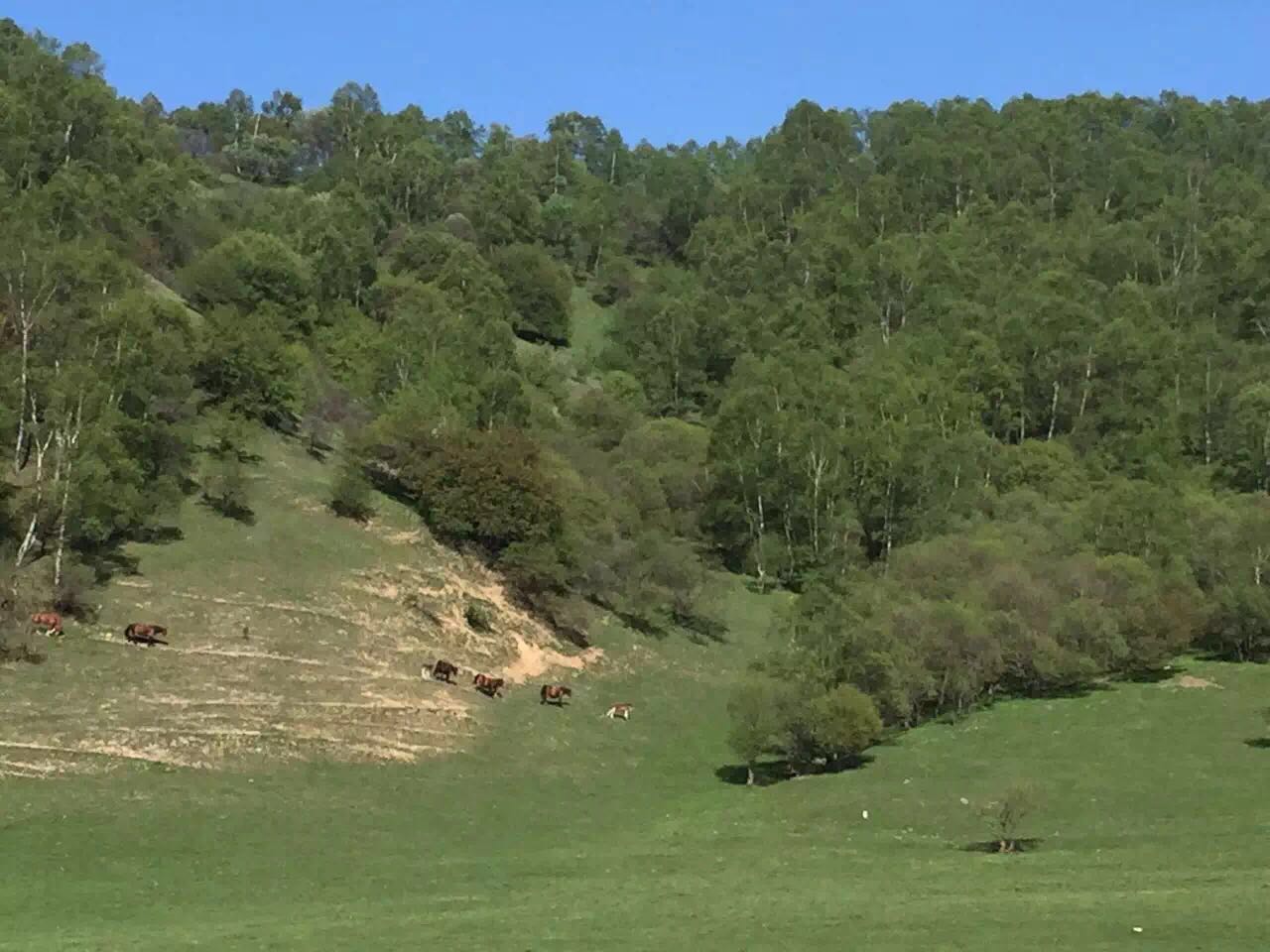 首页-MG视讯厅真人官方网站