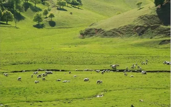 首页-MG视讯厅真人官方网站