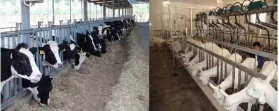 首页-MG视讯厅真人官方网站