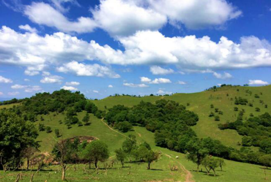 首页-MG视讯厅真人官方网站